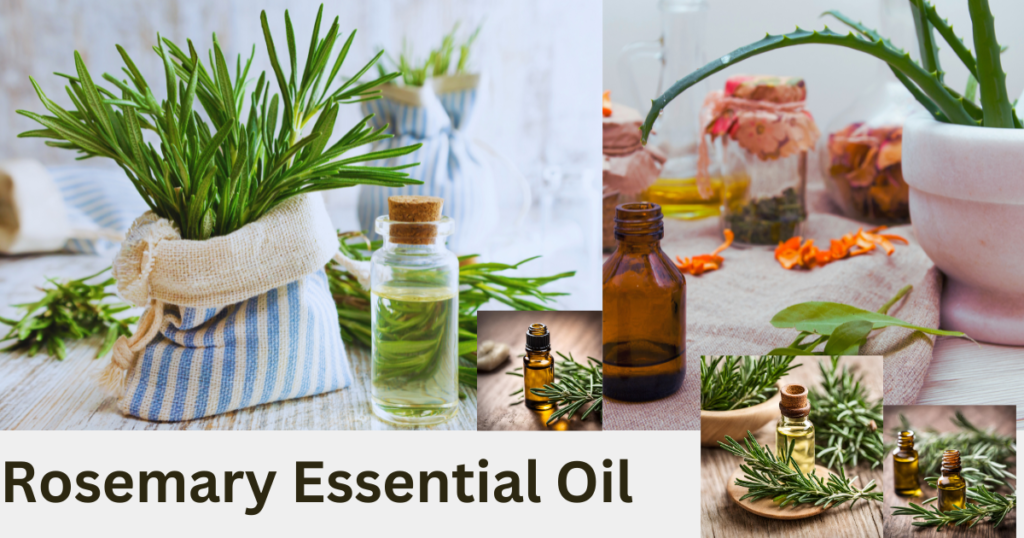 Rosemary essentail oil