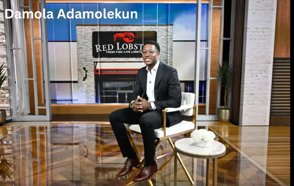 Damola Adamolekun net worth 2025 Red Lobster CEO sitting interview business leader